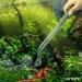 VORESTIC 38cm Curved Tweezers for Aquarium & Terrarium - Reptile Feeding Tongs - Buy Online on SooperMarket.com