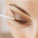 FOMIYES 100Pcs Disposable Eyeliner Brush Set - Fine Point Makeup Tools for Women | Mini Nylon Eyelash Brushes for Precise Eye Makeup - Buy Online on SooperMarket.com