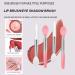 Silicone Mini Lip Brush Set - 4 Pcs Portable & Reusable Lip Applicator Brushes - Buy Online on SooperMarket.com
