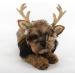 FLAdorepet Dog Elk Antler Reindeer Hat Cap Dog Cat Pet Christmas Costume Outfits Small Big Dog Hat Headwear Hair Grooming Accessories Brown S(for cat and small dog) - Buy Online on SooperMarket.com