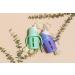 Glass Sippy Cup Set for Toddlers - 5oz - Spill-Proof Silicone Straw - Mint Green & Indigo Purple - BPA-Free - Buy Online on SooperMarket.com