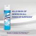 Lysol Early Morning Breeze Disinfectant Spray 19 oz - Fast-Acting Cleaning Solution - Buy Online on SooperMarket.com