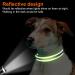 Joytale Reflective Dog Collar for Medium Dogs - Green Pack of 1 | Durable & Stylish - Buy Online on SooperMarket.com