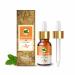 Crysalis Spearmint (Mentha Spicata) Oil |100% Pure & Natural Undiluted Essential Oil Organic Standard Spearmint Antioxidant Oil Reduces Fine Lines & Skin Imperfections Reduce Breakouts -15ml Dropper 15 ml (Pack of 1)