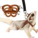 3 Pack Sugar Glider Harness and Lead Set Small Animal Training Walking Vest for Squirrel Hamster Rat (Brown)