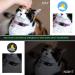 2PCS Breakaway Cat Collars with Bell - Adjustable Safe Kitten Collars - Glow in The Dark - Black&Purple - Buy Online on SooperMarket.com