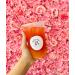 Boba Bar London | Easter Special Mixed Bubble Tea Kit | 6 Mixed Tea Flavours with Bobas Jellies & Tapioca | Serves 6 | 2 Recipe Cards - Buy Online on SooperMarket.com