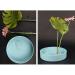 2Pcs Clear Plastic Ikebana Kenzan Floral Frogs - 70mm2.76 - Flower Arrangement Pin Holder with Suction Cups - Buy Online on SooperMarket.com