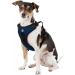 Littlearth NFL Dallas Cowboys Front Clip Pet Harness - Team Color Large - Buy Online on SooperMarket.com
