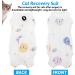 WLLHYF Cat Surgery Recovery Suit Breathable Kitten Onesie Full Bodysuit Clothes Post Neuter Surgery Spay Cone Anti Licking Abdominal Wound Protector for Small Male Female Pets (Medium) - Buy Online on SooperMarket.com