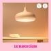 WiZ Connected Color 60W Candle B11 Smart WiFi Light Bulb  16 Million Colors  Compatible with Alexa and Google Home Assistant  No Hub Required  1 Bulb Candle Color 1 Count (Pack of 1) - Buy Online on SooperMarket.com