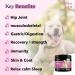 PETSY Dog Vitamins & Supplements 20-in-1 Essential Multivitamins B2 B3 B6 B7 B12 Vit C Folic Acid Biotin Glucosamine Chondroitin Wild Alaskan Salmon oil Hemp Seed oil Probiotics Blend TUB OF POWDER - Buy Online on SooperMarket.com