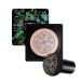 YUECI CC Cream Foundation/Concealer Cover-Moisturizing Conceal Make-up Base Printing Warm Hautton Nude Face 1 G (1 SPALL) # 01