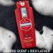 Old Spice Body Wash for Men Champion 709 ml (24 fl.oz) Fresh 709 ml (Pack of 1) - Buy Online on SooperMarket.com
