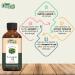 Organic Zing Tarragon (Artemisia Dracunculus) Oil | Pure & Natural Essential Oil for Aroma Diffusers Skincare & Haircare - 30ml/1.01fl oz - Buy Online on SooperMarket.com