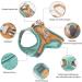 Fueegue Cat Harness with Leash - Escape Proof Adjustable & Soft for Cats & Dogs - Green XXL - Buy Online on SooperMarket.com