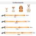 Buy Tag Trag Dog Leash - 5m Waterproof Training Line for Small & Medium Dogs | Easy to Clean Durable with Handle & D-Ring International Shipping Available - Buy Online on SooperMarket.com