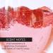 Whish Pink Champagne Lip Balm with Bakuchiol - Intense Moisturization & Soothing Care for Beautiful Lips | International Shipping Available - Buy Online on SooperMarket.com
