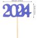 Alipis 12Pcs 2024 party supplies decorations top hat venue setting props cake Cake Picks Insert card paper Party Supplies Grad Party Cupcake Topper wood paper cup - Buy Online on SooperMarket.com