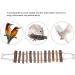 Zerodis Wooden Ladder for Birds | Parrot Climbing Bridge & Pet Toys | Durable Hammock & Toy for Birds - Buy Online on SooperMarket.com