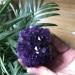 Home Decor Natural Dream Amethyst Quartz Crystal Cluster Specimen Gifts Natural Crystal Room Decoration FUZEGRDLI (Size : 70-90g) - Buy Online on SooperMarket.com