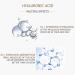 VENZEN Natural Organic Advanced Repair Skin Hyaluronic Solution 30ml | Hydrating Nicotinamide & Oligopeptide - International Shipping Available - Buy Online on SooperMarket.com