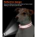Joytale Reflective Dog Collar for Large Dogs - Pink - Durable & Safe - International Shipping - Buy Online on SooperMarket.com