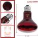 REPTI HOME Reptile Heat Lamp Bulb Infrared Heat Lamp for Reptile 100W 2Pack Basking Spot Red Heat Bulb for Lizards Turtles Chicks Puppies 100.0 Watts - Buy Online on SooperMarket.com