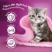 Buy Whiskas Junior & Adult 1+ Poultry Selection in Jelly - 84 & 168 Packs - International Shipping Available - Buy Online on SooperMarket.com