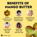 Kyabo 3Lbs Mango Butter - Premium Organic Unrefined Raw Virgin Cold Press Grade A - 100% Pure Non GMO Natural Moisturizer for Skin and Body Care - Perfect for DIY Body Butters, Soap Making, Lotions, and Creams - Buy Online on SooperMarket.com