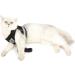 Ranphy Cat Dishes & Leash Set - Break-Proof Reflective Chest Harness for Small & Adult Cats - Soft Fabric Black Size L (Chest 44 cm) - Buy Online on SooperMarket.com