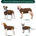 Kuoser Dog Body Post-Op for Male & Female Dogs - Breathable & Leakage Protection - Anti-Licking Recovery Suit (Brown Size M - 1 Pack) - Buy Online on SooperMarket.com