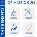 Fresh & Premium Quality Greek Mastic Gum Chios Tears from Greece - Small/Normal Tears (20g) - Buy Online on SooperMarket.com