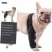 GANAZONO Dog Hindleg Cover Paw Butter Balm for Dogs Comfy Brace Dog Rear Leg Splint Care Elbow Pads S As Shown - Buy Online on SooperMarket.com