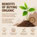 Sevenhills Wholefoods Organic Cacao Powder 1kg - Premium Quality Superfood - Buy Online on SooperMarket.com