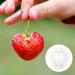 SUPVOX 15 Pcs Fruit Shaping Vegetables Growth Molds Vegetable Growing Molds Watermelon Heart-Shaped 4.5x4cmx3pcs Whitex3pcs - Buy Online on SooperMarket.com