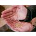 Organic Buckwheat Germ Powder (1 kg) - Gluten Free Vegan Home Grown from Germany | Value Pack - Buy Online on SooperMarket.com