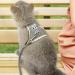 Shop Lumenty Adjustable Leash & Harness for Rabbits - 1.20m Breathable West Design for Small Pets | Ideal for Dwarf Rabbits & Cats - Buy Online on SooperMarket.com