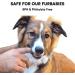Jasper 360 Finger Toothbrush Kit for Pets - Full Surround Bristles, Dental Care for Puppies, Cats - Blue 2-Pack - Buy Online on SooperMarket.com