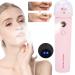 Cat Design Nano Facial Mister | Unclogs Pores, Removes Dirt & Acne | Warm Winter Moisturizing Face Steamer | Deep Cleaning & Humidifier for Home (Pink) - Buy Online on SooperMarket.com