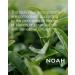 NOAH Yal Filler Hyaluronic Acid Serum - Hair Repair and Growth Serum - 20ml - Buy Online on SooperMarket.com