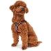 HUNTER HILO COMFORT Harness for Small Dogs - Mesh & Reflective Elements Red - Size ML | International Shipping - Buy Online on SooperMarket.com