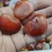 3pcs Natural Heart-Shaped Colorful Red Carnelian Agate Flame Geode Beautiful Crystal - Buy Online on SooperMarket.com