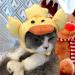 Cute Animal Headgear Hat for Cats & Dogs | Sweet Duck Costume with Wings - Perfect Pet Decoration - Buy Online on SooperMarket.com