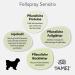 TAMEI BIO Fellspray for Sensitive Dogs & Puppies - Fragrance-Free Vegan Combing Aid & Care - 250ml - Fur Vitalizing & Smooth - Buy Online on SooperMarket.com