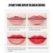 Petansy 5Pcs Double Head Matte Lipstick Set - Long Lasting & Waterproof Lip Liner and Lipstick Duo - Buy Online on SooperMarket.com