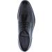 Zanzara Men's Coconut Oxford 11 UK Black - Buy Online on SooperMarket.com