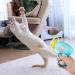 Colorful Flying Propeller Cat Toy Set with Launcher - Interactive Exercising and Training Discs for Hunting and Batting - Buy Online on SooperMarket.com