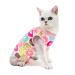 BT Bear Cat Professional Surgery Recovery Suits Cat Clothes for Abdominal Wounds or Skin Diseases After Surgery Wear Home Clothing L: back length 35cm Donuts