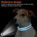 Buy Joytale Reflective Dog Collar for Small Dogs - Blue S (Pack of 1) | International Shipping Available - Buy Online on SooperMarket.com